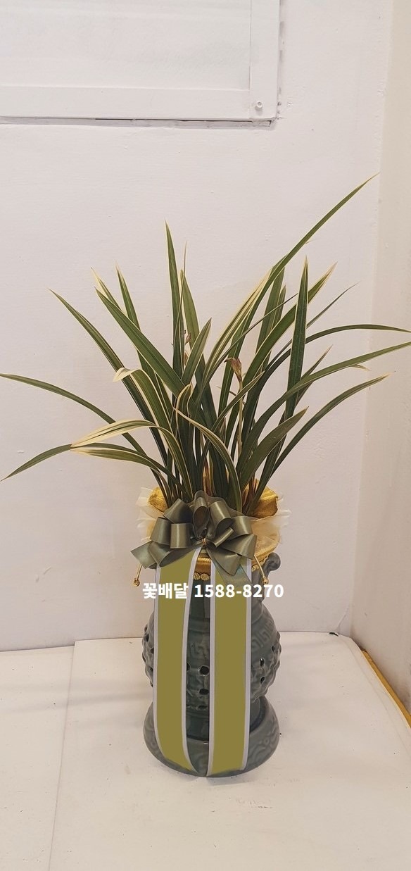 �뱸����ȭ�й�޲��� (1588-8270)